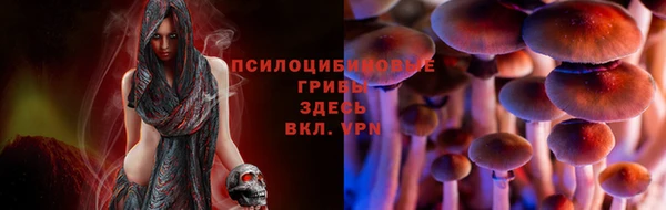 дживик Белокуриха