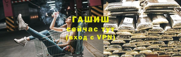 дживик Белокуриха