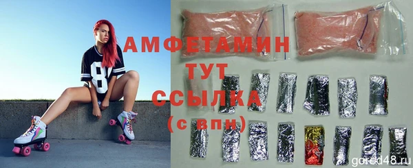 дживик Белокуриха