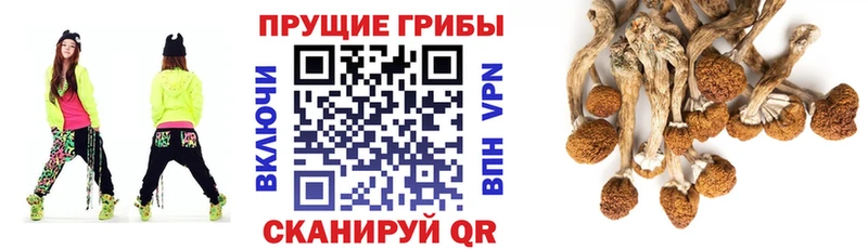 Галлюциногенные грибы мицелий  ссылка на мегу ONION  Иркутск 